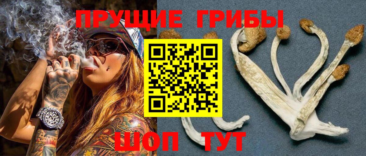Галлюциногенные грибы GOLDEN TEACHER Горно-Алтайск