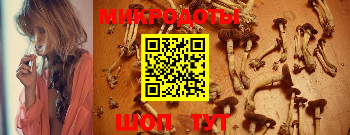 Псилоцибиновые грибы Psilocybe  где купить наркоту  Горно-Алтайск  Вход с VPN  Псилоцибиновые грибы ЛСД 